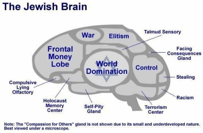 jewish_brain.jpg