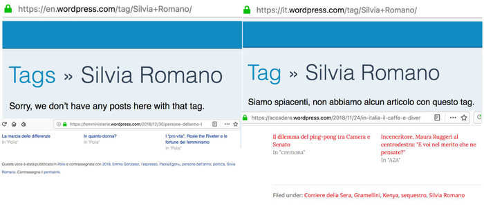 SilviaRomano_search_italianlanguage.jpeg