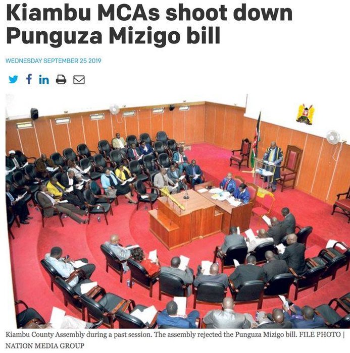 KiambuCountyAssembly_PunguzaMizigo.jpg