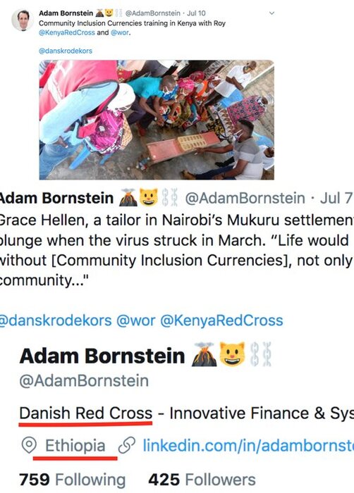 adambornstein_danishredcross.jpg