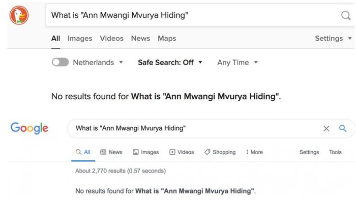 annmwangimvurya_duckduckgogoogle_search.jpg